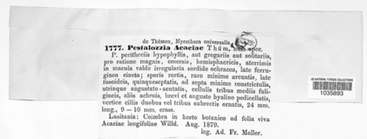 Pestalotia acaciae image